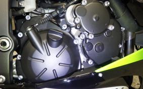 KAWASAKI NINJA ZX-6R A 2025 ZX636J