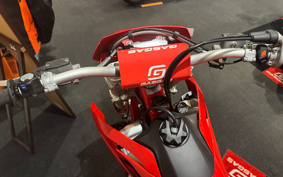 GASGAS EC 250
