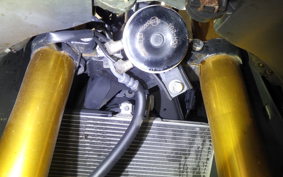 YAMAHA YZF-R25 1994 RG43J
