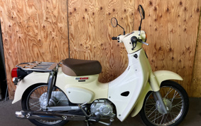 HONDA SUPER CUB50 AA09