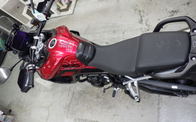 TRIUMPH TIGER 900 GT PRO 2024