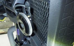 SUZUKI Vｽﾄﾛｰﾑ250SX 2012 EL11L