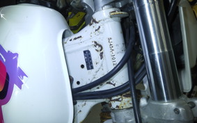 SUZUKI DR250 R-S 2008 SJ45A