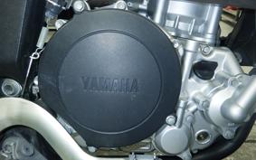 YAMAHA WR250X DG15J