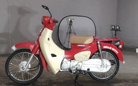 HONDA SUPER CUB50 AA09