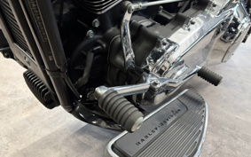 HARLEY FLFBS 2021 YGK