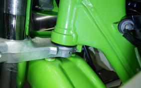 KAWASAKI KDX125 SR 2010 DX125A