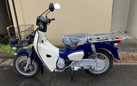 HONDA SUPER CUB110 JA61