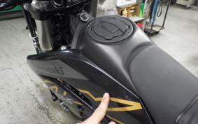 KAWASAKI KLX230SM 2022 LX230A