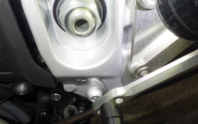 YAMAHA XSR900 GP 2024 RN96J
