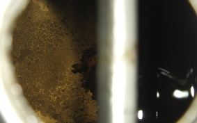 HONDA ZOOMER 2002 AF58