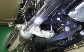 KAWASAKI W800 2024 EJ800E