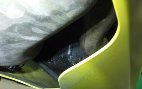 APRILIA RS660 2021