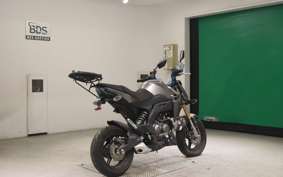 KAWASAKI Z125 PRO 2023 BR125H