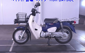 OTHER C110PU LOW 3