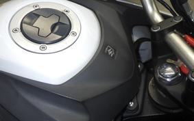 SUZUKI DL650 ( V-Strom 650 ) XTA 2019 C733A