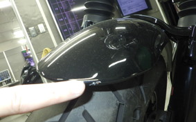 HARLEY XL1200X 2021
