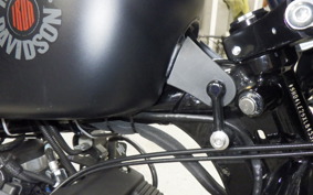 HARLEY XL883N 2020