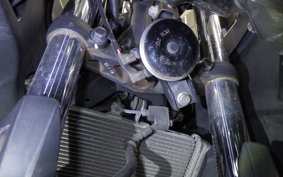 YAMAHA YZF-R3 2016 RH07J