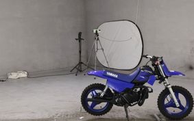 YAMAHA PW50 3PT