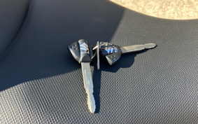 SUZUKI GSX250R DN11A