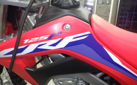 HONDA CRF125F