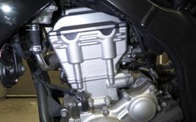 YAMAHA WR250X 2021 DG15J