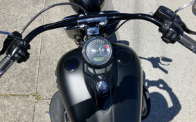 HARLEY  HARLEY FLS 2019 JRV