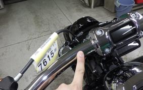 HARLEY FXBR1920 2025