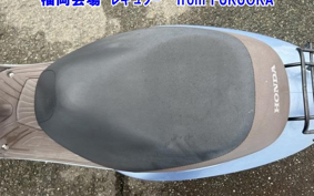 OTHER  DIO CESTA 3