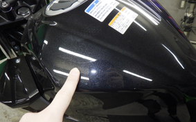 KAWASAKI Z250 Gen.2 EX250Y