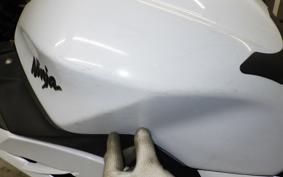 KAWASAKI NINJA 250 EX250L