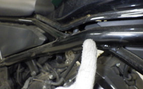 HONDA REBEL 250 2010 MC49