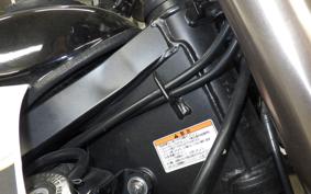 KAWASAKI KLX250D TRACKER LX250E