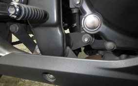KAWASAKI NINJA 250 2026 EX250L