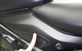 TRIUMPH TRIDENT 660 2023