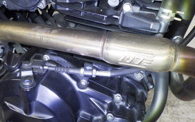 KAWASAKI KLX230 SM 2022 LX230A