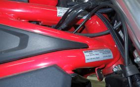 DUCATI MONSTER 797 + 2019