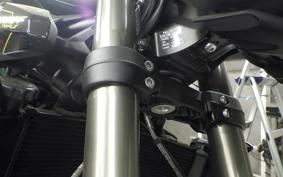TRIUMPH STREET TRIPLE RS 2025