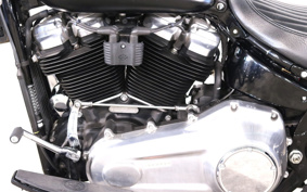 HARLEY FLSL 2020 YDJ