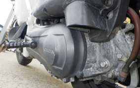 HONDA ZOOMER 2024 AF58