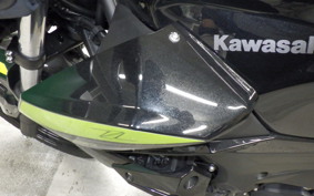 KAWASAKI Z250 Gen.2 2019 EX250P