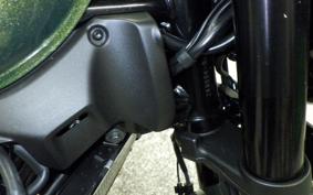 KAWASAKI Z900RS 2024 ZR900K