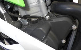 KAWASAKI ZX-4RR 2024 ZX400P