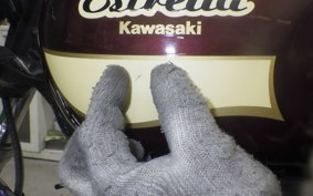 KAWASAKI ESTRELLA RS 2022 BJ250A