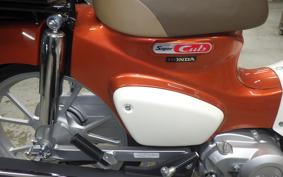 HONDA C110 SUPER CUB 2016 JA59