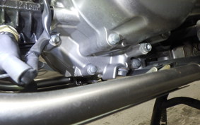 HONDA CT125 HUNTER CUB 2021 JA55