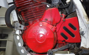 HONDA XL600R PHARAOH 1986 PD04