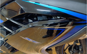 KAWASAKI Ninja 250 SE EX250L