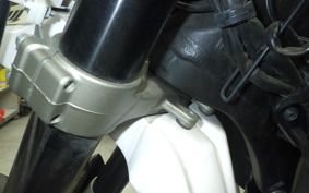 YAMAHA WR250X DG15J